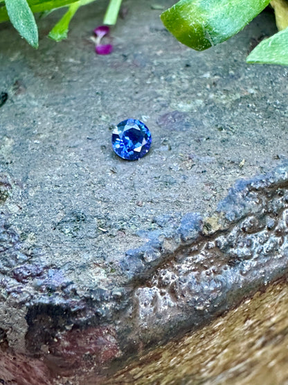 Forged in Sparkle necklace